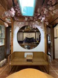 蘇州｜平江路「貓十二」貓咖天堂❤️