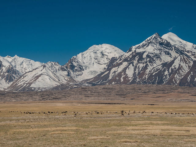 EBC (MT.Qomolangma base camp) 