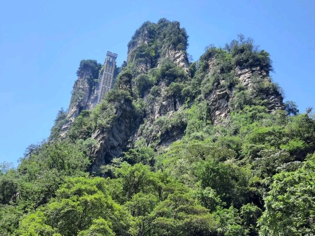 意象 張家界國家森林公園 