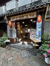 Timeless Canals & Summer Sun: A Summer Stroll Through Shanghai’s Water Town