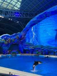 親子遊🇨🇳長隆飛船樂園🎡🎠🎪全攻略，全室內
