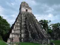 ジャングルの中の古代遺跡
