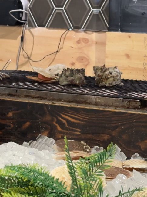 【釜山】南浦洞 釜山の海鮮を炉端焼きで楽しめる居酒屋🍶🦞