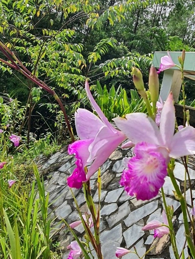 อุทยานแห่งชาติน้ำหนาว เพชรบูรณ์