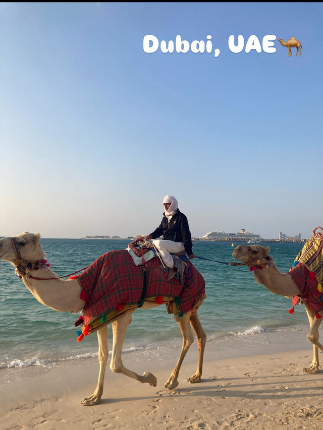 都会×海で昼も夜も楽しめる🐪ドバイマリーナ🎡✨