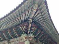 座落海邊的美麗海東龍宮寺