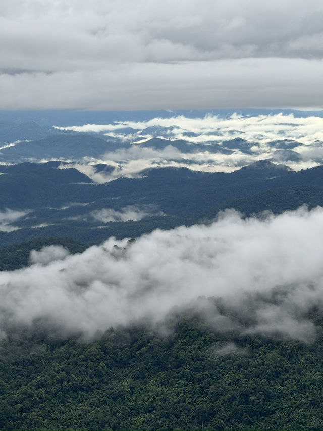 ดอยปุย-ดอยสุเทพ จ.เชียงใหม่ ⛰️🌳🌧️🌫️