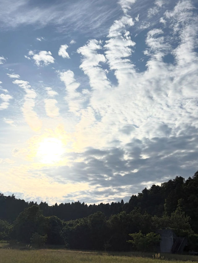 海に続く棚田の絶景🌾白米千枚田で心ほどける自然旅