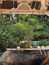 縁結びの聖地へ🌿氣多大社で心を整える神社旅