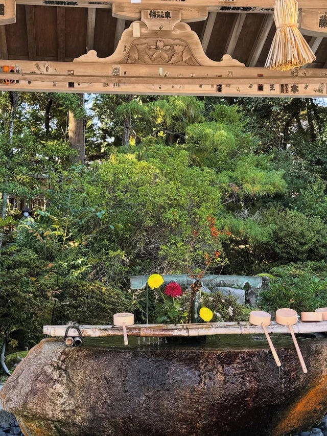 縁結びの聖地へ🌿氣多大社で心を整える神社旅
