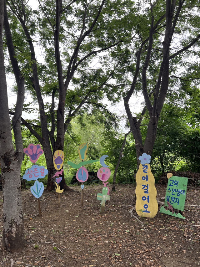 고덕 수변 생태 공원