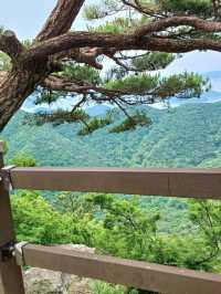 작은 산속 탐험