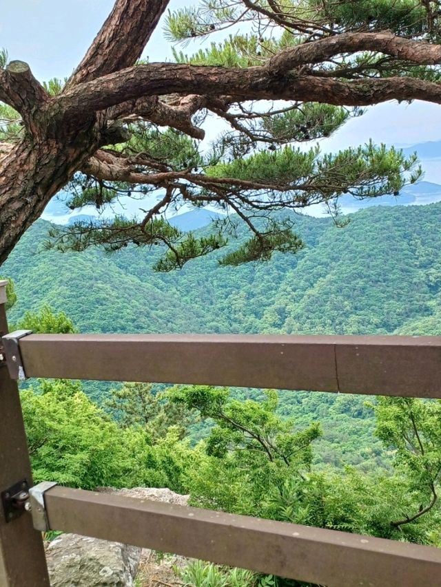 작은 산속 탐험