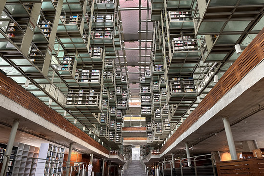 ヴァスコンセロス図書館｜本と緑が浮かぶ“知のオアシス”】 天井吊り棚