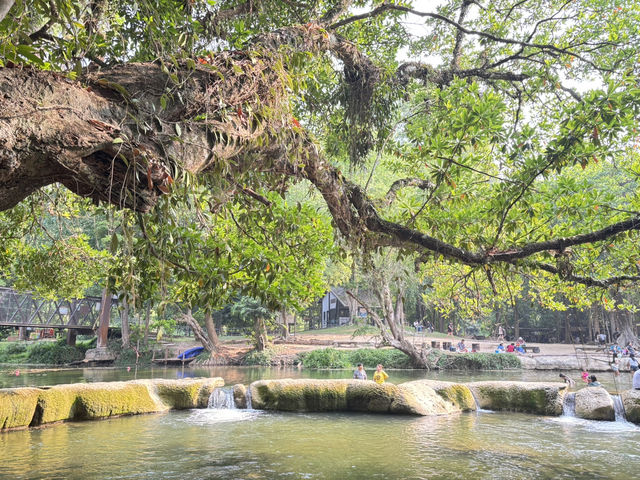 อุทยานแห่งชาติน้ำตกเจ็ดสาวน้อย