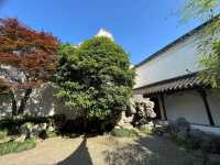  🏯 Suzhou’s Master of the Nets Garden (网师园) — A Hidden Gem of Jiangnan Elegance