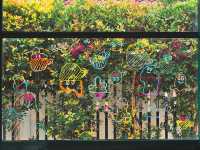 แอบชง” – คาเฟ่บ้านไม้กลางสวน 