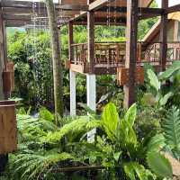 Montra Cafe – นครนายก คาเฟ่ในสวนเขียวขจี