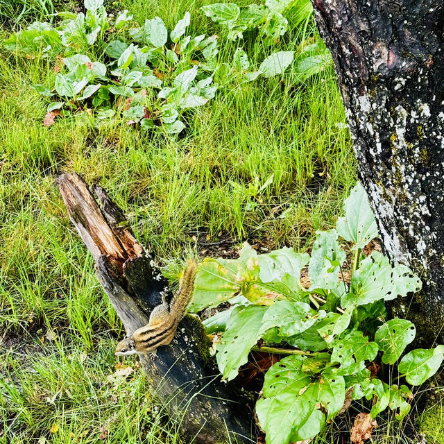 Find tranquility trekking through nature’s beauty