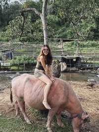 Le Chi Pu HomeStay