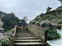 🌸 Blooming Lovely at Flora Park, Cameron Highlands