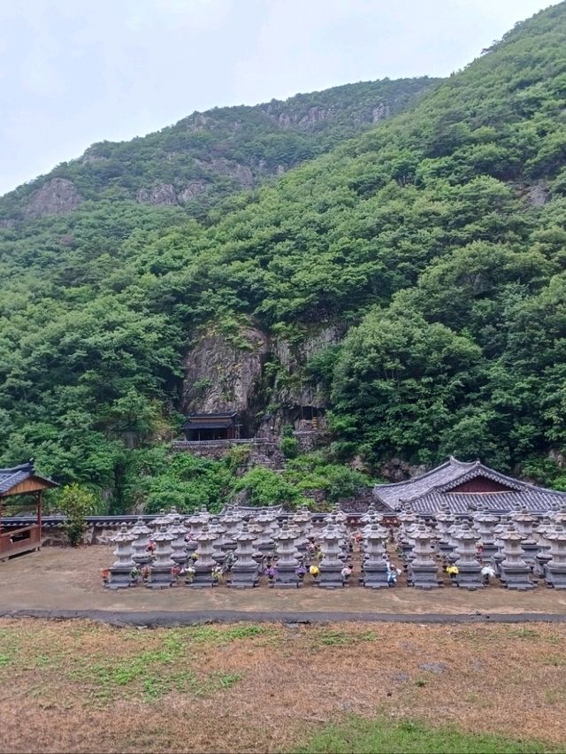 통천제일문을 지나 시작되는 숲속 사색 여정