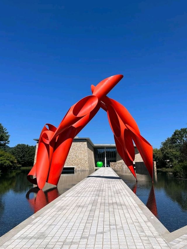 Art, Mountains & Zen Vibes at Museum SAN 