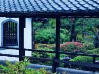 京都🇯🇵青蓮院