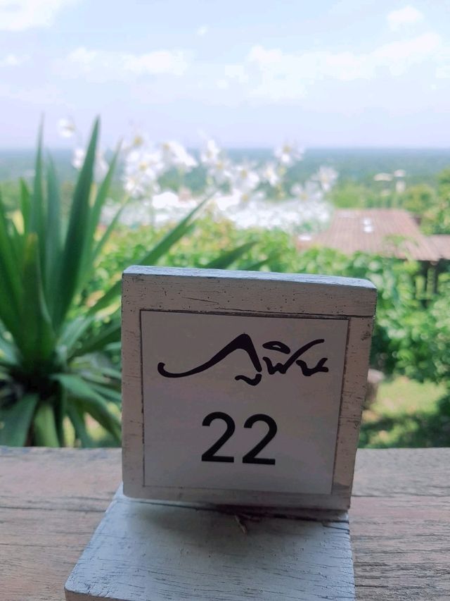 ภูฟิน ดอย เชียงใหม่ 