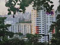 My Hike to Faber Point: A Refreshing Singaporean Discovery! 🇸🇬🚶‍♀️