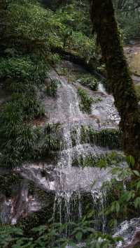กิ่วแม่ปาน เส้นทางศึกษาธรรมชาติ ใน 1 วัน