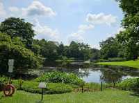 Go Green at Botanic Gardens (HOT, literally 🌞)