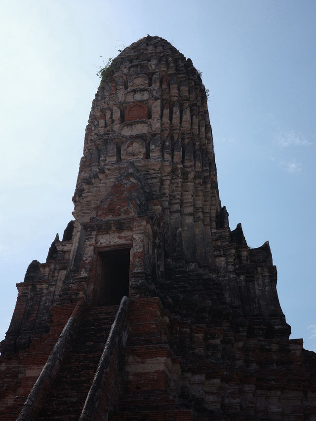 Ayutthaya historical park 阿瑜陀耶古城