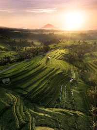 Jatiluwih Rice Terraces