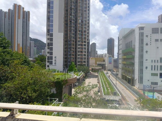 香港玩海，繞地球飛了一圈8年前後重遊