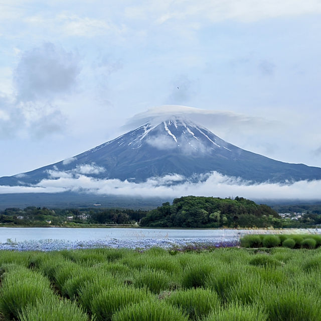 สวนโออิชิ ปาร์ค