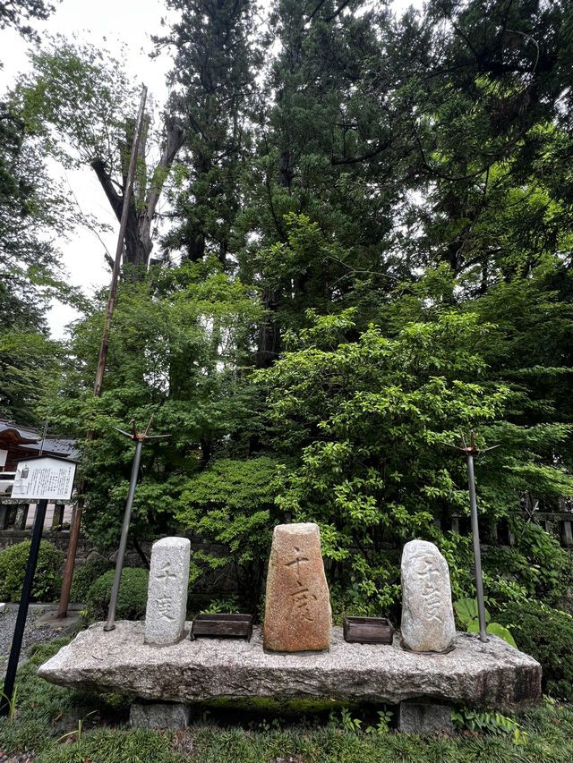 「自然の中で、心が静かに整っていく。」そんな不思議な体験、最近いつしましたか？