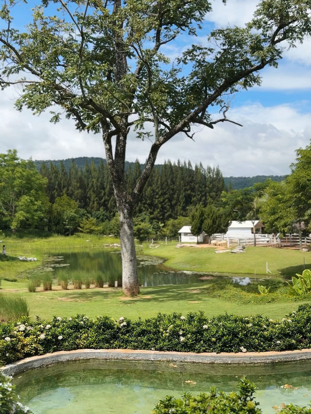 คาเฟ่เขาใหญ่ Bucolic Khaoyai 🌳🌲🍃🪵🧺🤎