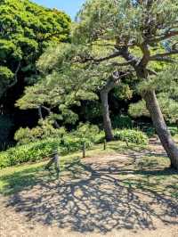 東京 | 浜離宮恩賜庭園，遠眺東京灣賞花