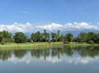 台東森林公園