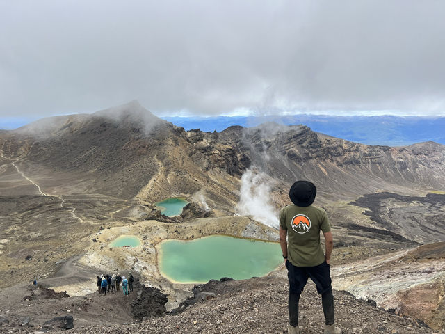 紐西蘭旅遊景點—🩵 Blue Lake 一圈剛剛好：在湖光山色裡呼吸森林