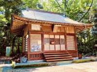 Hiratsuka's Hidden Summit: A Summer Morning Hike to Mt. Koma (駒ヶ岳)