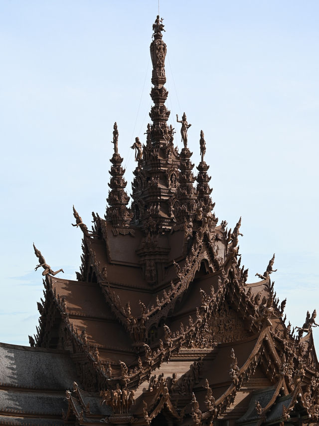 Pattaya Express: Sanctuary, Sand & Street Lights