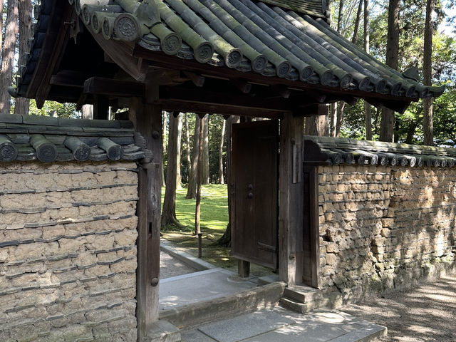 唐招提寺：探索奈良的佛教瑰寶，感受千年文化的深厚底蘊！