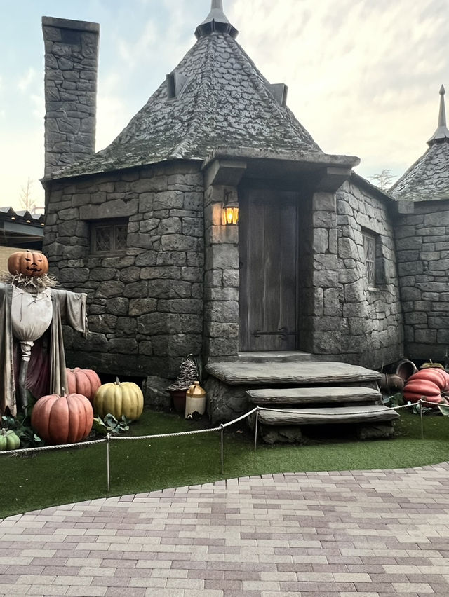 A Spellbinding Day at the Wizarding World – Pure Magic in Tokyo! 