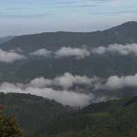 Tramont - ดอยช้าง , เชียงราย