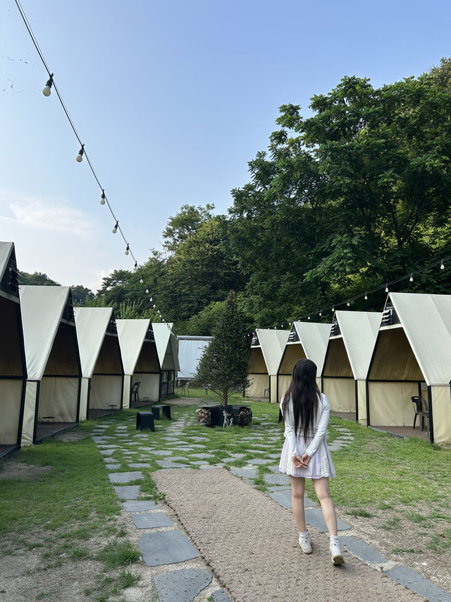 자연을 담은 통창, 마음이 쉬어가는 곳🌳
