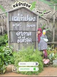 แม่กำปอง นาทวี