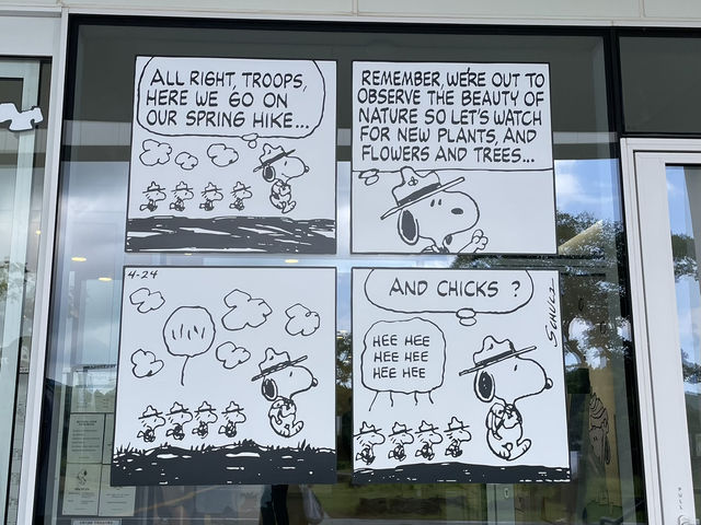 濟州｜Snoopy Garden 史努比庭園