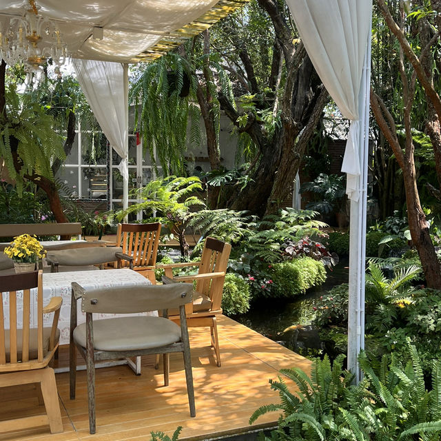 📍TREE TIME Cafe &Garden @Chumphon